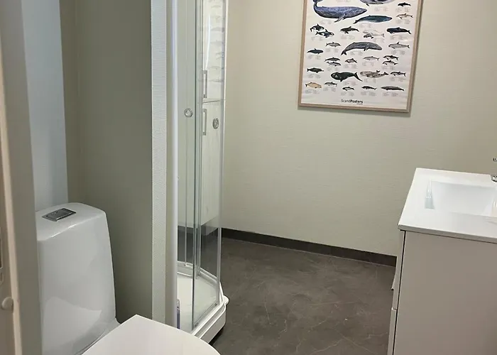 Apartamento Magical View On Of Tromsoya